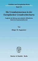 Die Grundsatznormen in Der Europaischen Grundrechtecharta