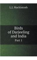 Birds of Darjeeling and India Part 1