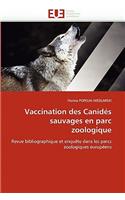 Vaccination Des Canidés Sauvages En Parc Zoologique