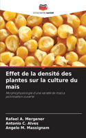 Effet de la densité des plantes sur la culture du maïs