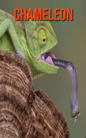 Chameleon: Fun Facts & Cool Pictures