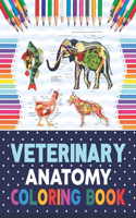 Veterinary Anatomy Coloring Book