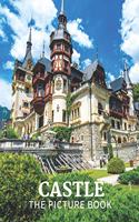 Castle