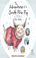 Adventures of a South Pole Pig