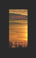 Afterlife