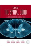Atlas of the Spinal Cord