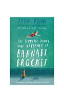 The Terrible Thing That Happened to Barnaby Brocket