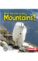 What Can Live in the Mountains?