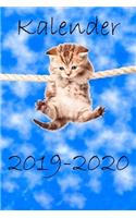 Kalender 2019-2020: Katzen Kalender / August 2019 bis Dezember 2020 / A5