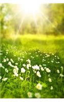 Spring: Spring Is One of the Four Conventional Temperate Seasons, Following Winter and Preceding Summer. There Are Various Technical Definitions of Spring, 