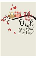 Owl you need is Love! Journal: Blank lined Journal/Notebook for writing