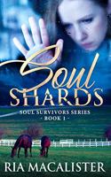 Soul Shards: A Romantic Suspense Sports Novel