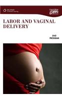 Labor and Vaginal Delivery (DVD)