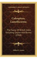 Coleoptera, Lamellicornia