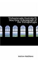Trichopterygia Illustrata Et Descripta