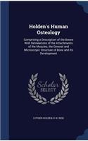 Holden's Human Osteology