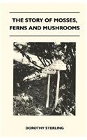 Story Of Mosses, Ferns And Mushrooms