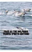 Free as the dolphins travel (photo edition)
