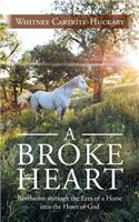 Broke Heart: Revelation Through the Eyes of a Horse Into the Heart of God