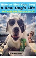 How to Give Your Dog a Real Dog's Life