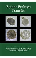Equine Embryo Transfer