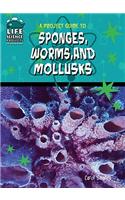 A Project Guide to Sponges, Worms, and Mollusks: (Life Science Projects for Kids (Library))