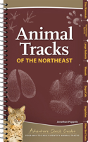 Animal Tracks of the Northeast