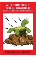 Why Tortoise's Shell Cracked