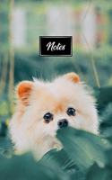 Pomeranian Dog Pup Puppy Doggie Notebook Bullet Journal Diary Composition Book Notepad - Hidden Between Leafs