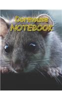Dormouse NOTEBOOK: Notebooks and Journals 110 pages (8.5"x11")