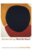 Why Don't We Say What We Mean?: Essays Mostly about Poetry