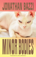 Minor Bodies