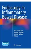 Endoscopy in Inflammatory Bowel Disease