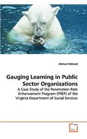 Gauging Learning in Public Sector Organizations