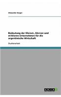 Bedeutung der Kleinst-, kleinen und mittleren Unternehmen für die argentinische Wirtschaft