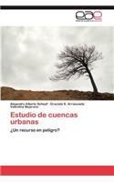 Estudio de Cuencas Urbanas