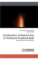 Combustion of Natural Gas in Turbulent Fluidized Beds