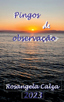 Pingos De Observação