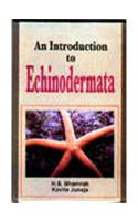 An Introduction To Echinodermata