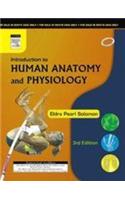 Introduction To Human Anatomy And Physiology