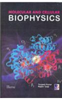 Molecular and cellular biophysics