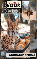 Adorable Serval Photo Book