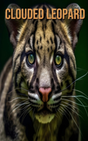 Clouded Leopard