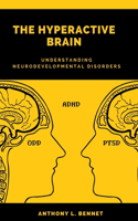 Hyperactive Brain: Understanding Neurodevelopmental Disorders (A Comprehensive Guide)