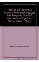 Tesoros de Lectura, a Spanish Reading/Language Arts Program, Grade 5, Workstation Flipchart: Phonics/Word Study