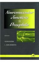 Neuromuscular Junctions in Drosophila: Neuromuscular Junctions in Drosophila(International Review of Neurobiology)