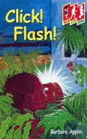 HSJ; Click Flash