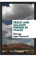 Trout and Salmon Fishing in Wales