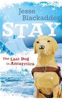 Stay