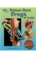 Poison Dart Frogs Up Close